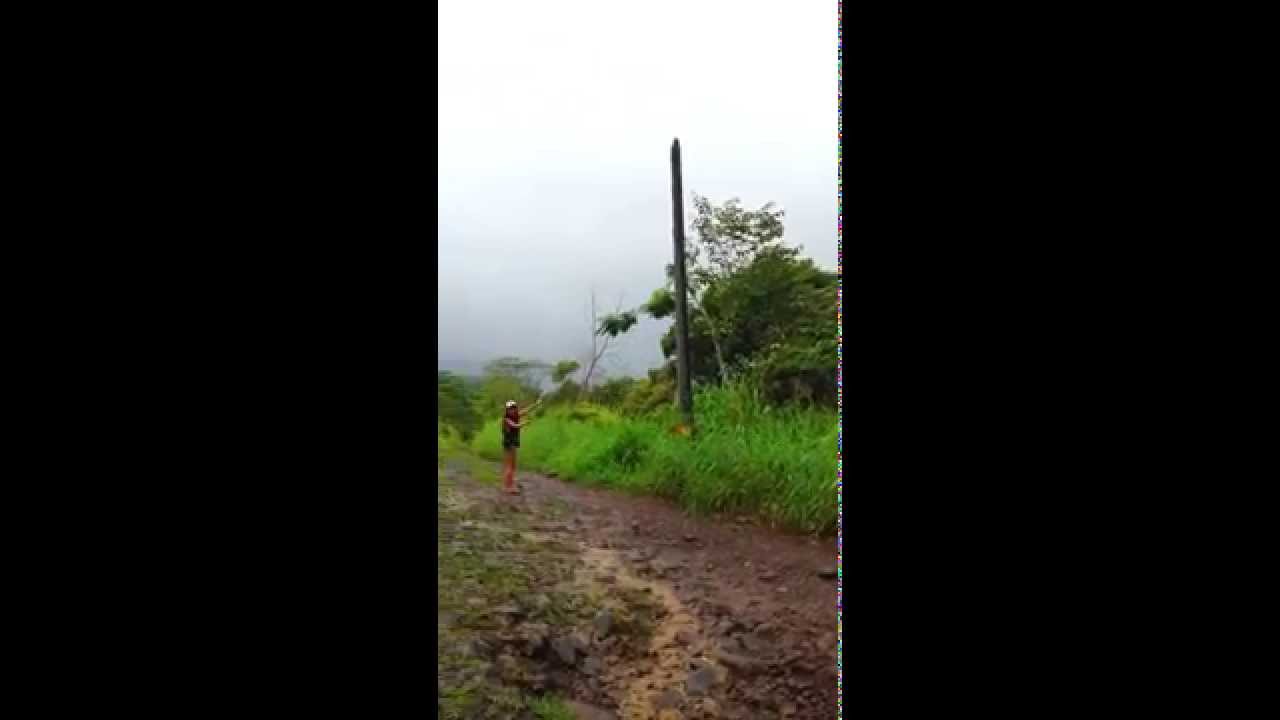 jurassic park beyond the gates jurassic park beyond the gates