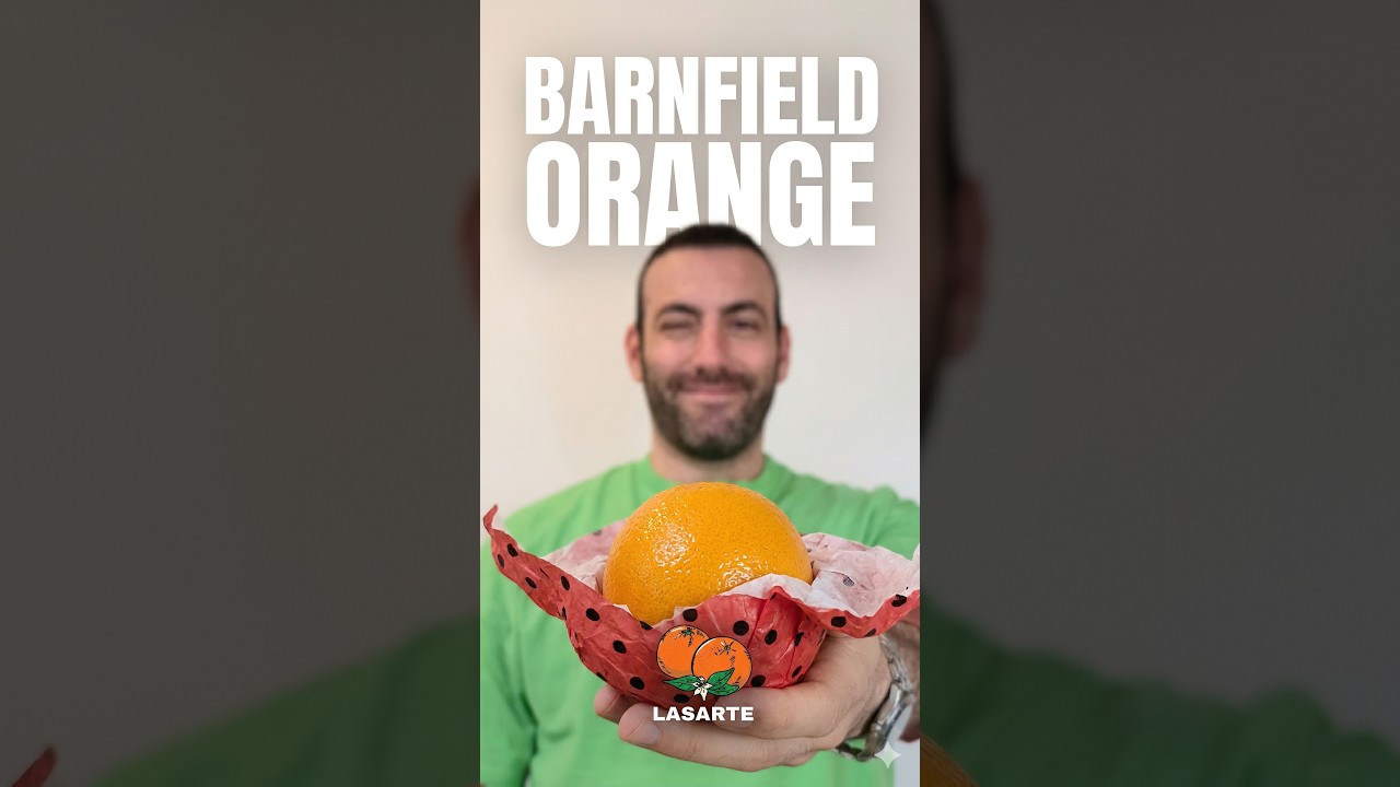 Barnfield Oranges by Lasarte - Review