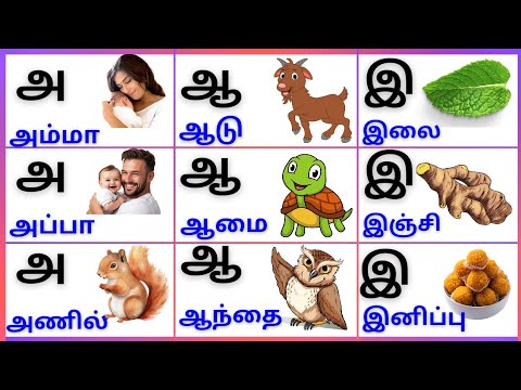 Aaaaeiee/அஆஇஈ/Uyireluthukkal/உயிரெழுத்துக்கள்/Tamil Alphabets @PEEKABOO-ff8wq #uyireluthukkal
