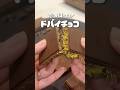 ワンタンの皮でドバイチョコ作れるらしい…