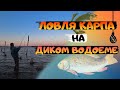 Ловля КАРПА на диком водоеме на фидер! Как выбрать место для удачной рыбалке!  Рыбалка с ночевкой!