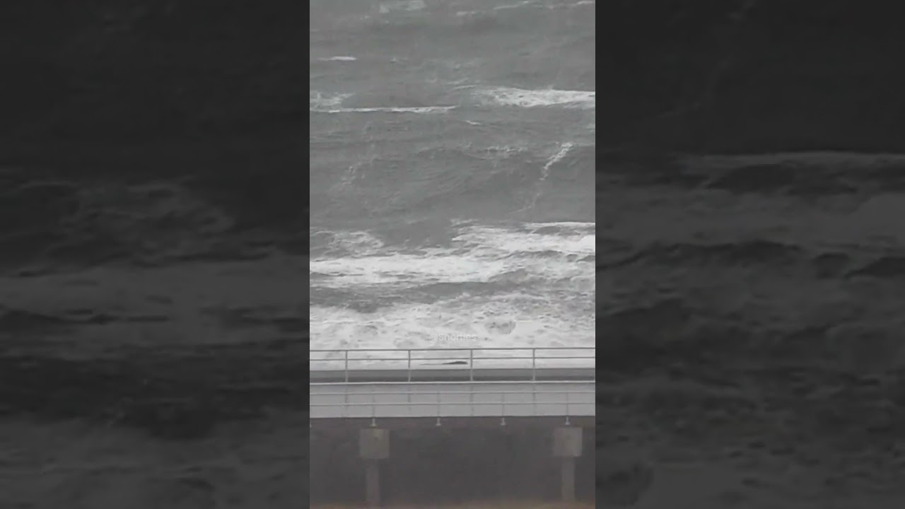 Japan's Recovery from 2011 Earthquake and Tsunami | 