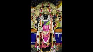 Athivaradhar 34 Day Standing  Utchivam varadharaja perumal kovil |iworld tv kanchipuram 2019