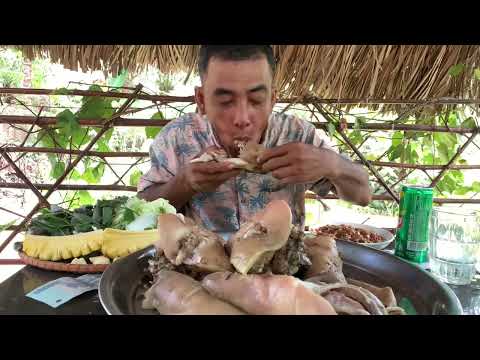 Video: Na Uy Buhund
