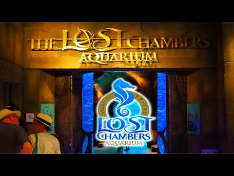 Lost Chambers Aquarium Complete tour || Atlantis The Palm Dubai 😍