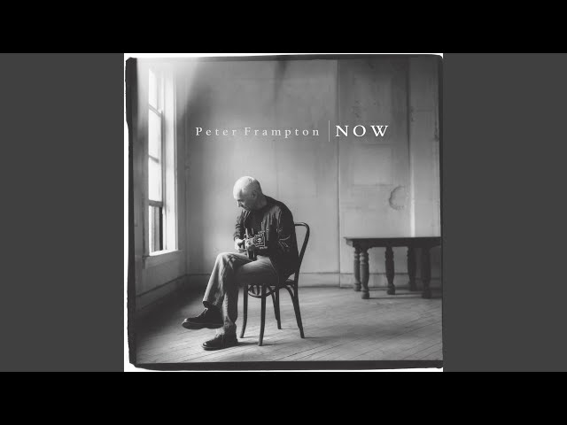 Peter Frampton - Hour Of Need