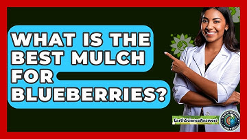What Is The Best Mulch For Blueberries? - Earth Science Answers