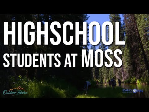 Highschool students at MOSS | Nature as Classroom