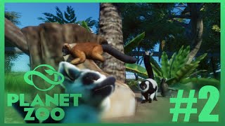 🦨 Lemur's Crossing : Planet Zoo : Cypress Sapling Zoo : Ep. 2