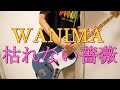 WANIMA - 枯れない薔薇 ベース適当に弾いてみた!