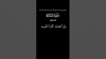 سورة المائدة  - الآية 100 #ترتيل_القرآن_الكريم