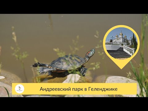 Андреевский парк а