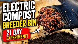 Red Wiggler Breeder Bin | Testing Electric Compost Bedding #vermicompost #vermicomposting
