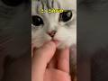 うっっっ可愛い♥