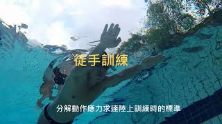 練一個動作讓自由式游更快Swimming key action