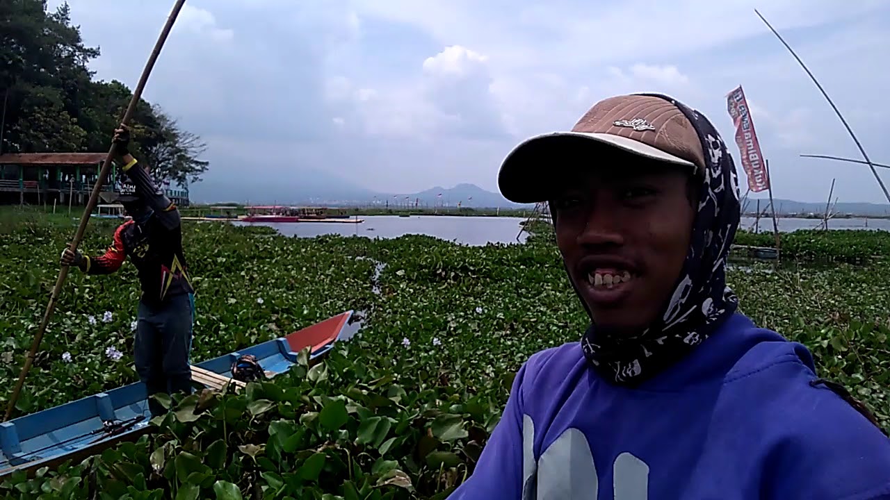 Mancing Mania Berburu Ikan Gabus Episode Rawa Pening Youtube