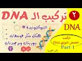 تركيب DNA الجزء الأول البيولوجيا الجزيئية الصف الثالث الثانوي 2020 