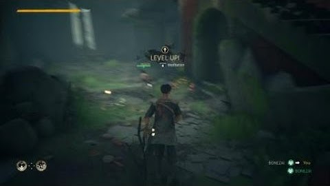 ABSOLVER! Invisible Fighting!