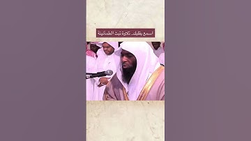 تلاوة تبث الطمأنينة #بدر_المشاري #المصحف #قران_كريم #قرآن #تلاوة_خشوع #تلاوة_خاشعة #اكسبلور