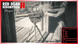 Red Dead Redemption 2: Weapons Expert 8 2025
