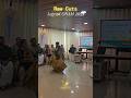 LEGEND ONAM 2025 Raw Cuts   #onam #onam2025 #onamvibe #upsc