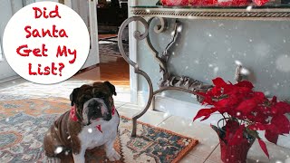 'Hooray, Santa got my Xmas list!' #RockyTheBulldog-Feb14 by RockyTheBulldog 563 views 4 months ago 3 minutes, 17 seconds