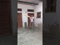 Home cricket practice #cricketl #cricketacadmey #criclover 👍