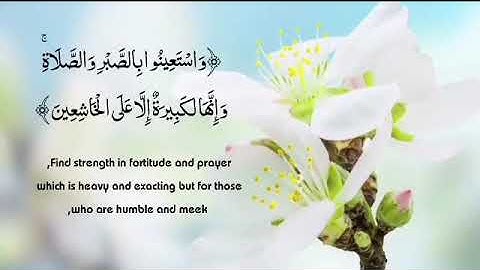 سورة البقرة واستعينوا بالصبر والصلاة بصوت القارئ ياسر عرفات quran
