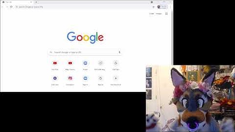 Google auto complete questions about furries