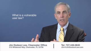 What is a Vulnerable User Law?