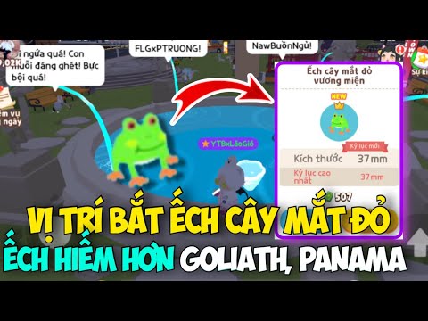 Video: Cách Nuôi Cá Hề: 15 Bước (có Hình ảnh)