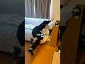 20歳少年大学生の１日の様子