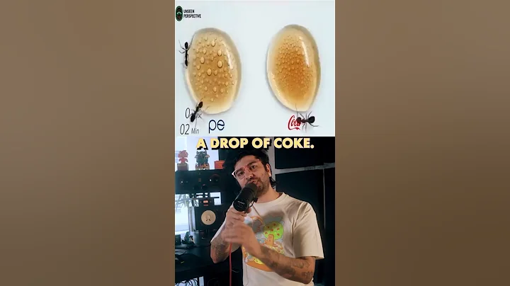 Which soda do ants prefer Pepsi or Coke? #Shorts