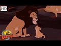 Wildlife and Nature Quiz
