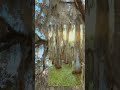 Is this it? | iPhone 13 Pro | Florida