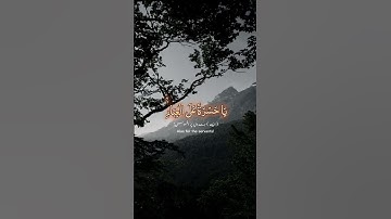 ان كانت الا صيحة واحدة فاذا هم خامدون #القرآن_الكريم #تلاوةالقرآن #راحة_نفسية