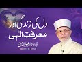 Hearts life and divine knowledge  shaykhulislam dr muhammad tahirulqadri