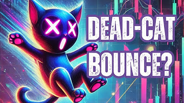 Dead Cat Bounce? Or Bullish Reversal? (US Stock Market Analysis EP137)