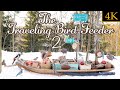 The Traveling Bird Feeder 2 - Relax With Squirrels & Birds (4K, 1 Hour)