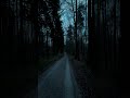 vibe  nature  #fyp  #calm  #darkaesthetic #shortvideo