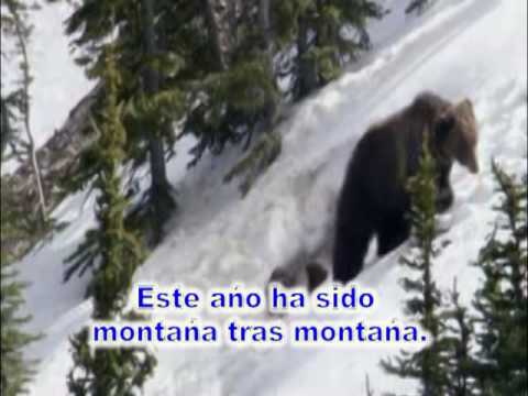 Montaña tras Montaña2
