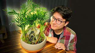 Creating a desktop Jungle WITH a WATERFALL | Step-by-Step by World of Whasian 2,019 views 11 months ago 8 minutes, 45 seconds