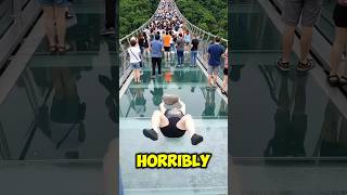 Celebrity Rock vs Glass Bridge (Gone Wrong) ?!? Net Worth