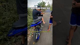 Luckily Hes Here To Help Mx Kips shotrs