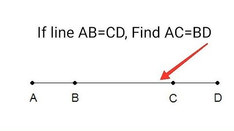 In the given figure AB=CD, Find AC=BD and why❓
