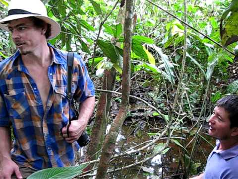 Chevron Texaco Oil Contamination of Amazon Rainfor...