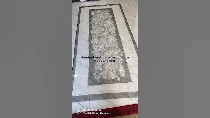 hand painted organza duppata Black and white theme #handpainted #organzadupatta #handmade #islamabad