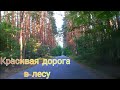 КРАСИВАЯ ДОРОГА В ЛЕСУ Видео в 4К 60 фпс. Beautyful road in the Wood 4k 60fps