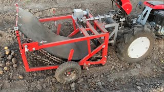 Potato harvesting with a potato digger.