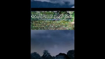 @كُلّمَا أُلْقِيَ فيها فَوْج سأَلهم خزَنتُها ألمْ يأْتكم نذير #سورة_الْمُلْكُ هشام الهراز حفظه الله